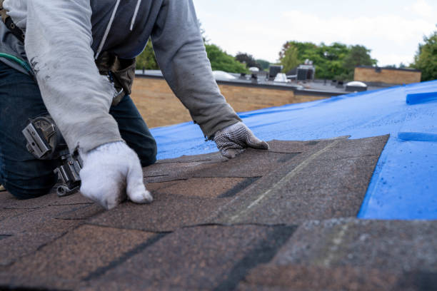 Best Roof Maintenance Services  in Jemison, AL