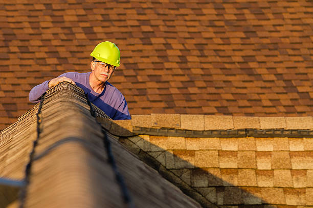 Best Residential Roofing Contractor  in Jemison, AL