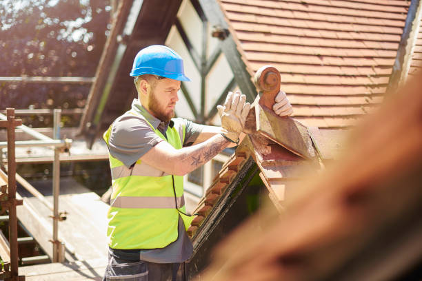 Roof Gutter Cleaning in Jemison, AL