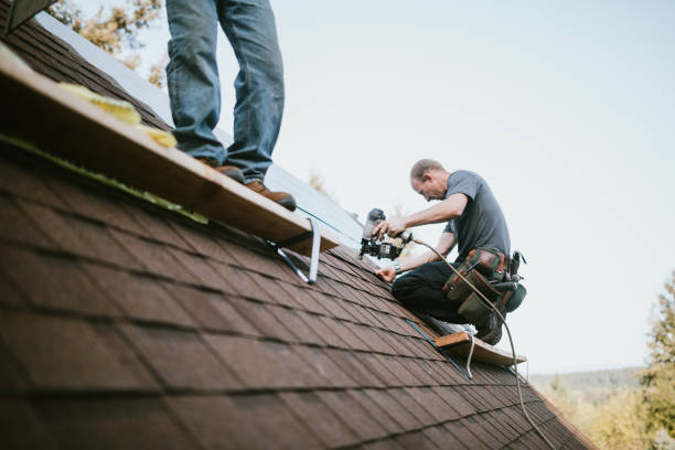 Best Storm Damage Roof Repair  in Jemison, AL